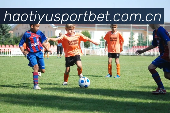 战术分析频道